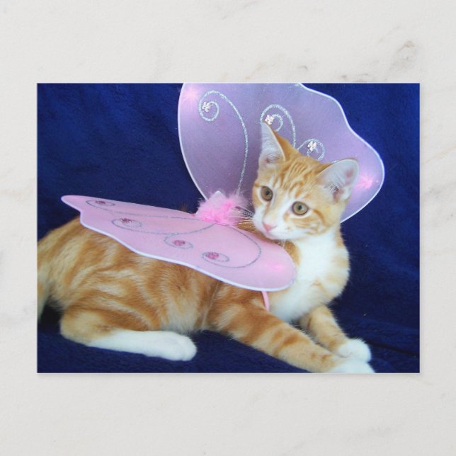 Carte Postale Fées (Devant)