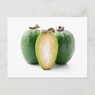 Carte Postale Feijoa
