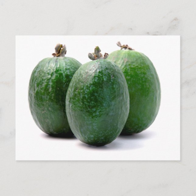 Carte Postale Feijoa (Devant)