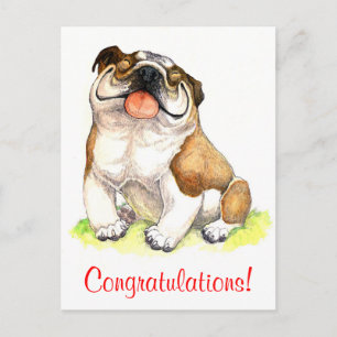 Carte Postale Félicitations Bulldog Chien chiot