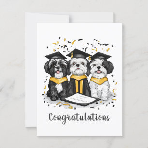 Carte Postale Félicitations Diplômé Chiens Shih Tzu