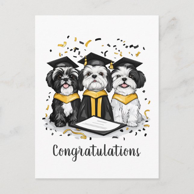 Carte Postale Félicitations Diplômé Chiens Shih Tzu (Devant)