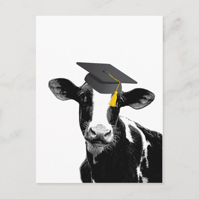 Carte Postale Félicitations Diplômé Vache Drôle en Casquette (Devant)