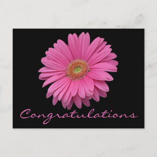 Carte Postale Félicitations Fleur de Gérbera Daisy Rose Noir