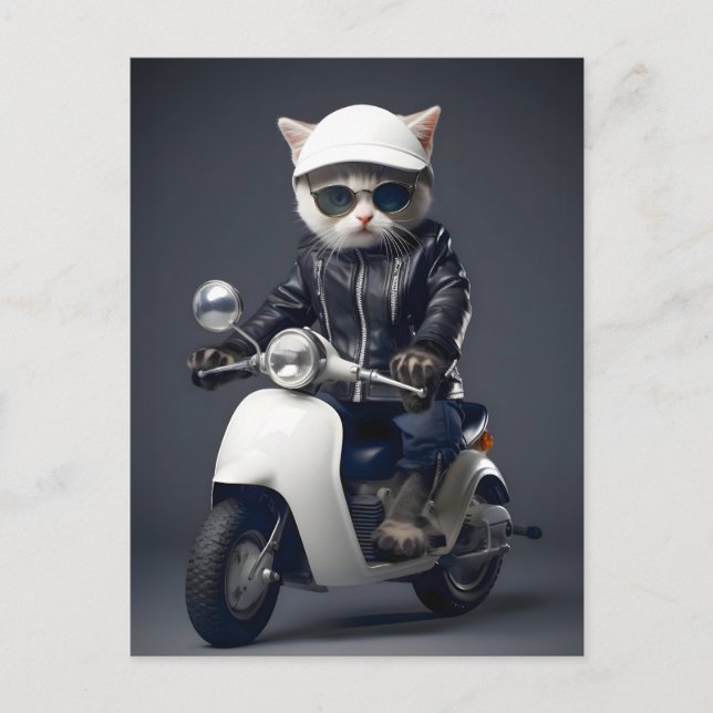 Carte Postale Félicitations Kitty Scooter Cool (Devant)