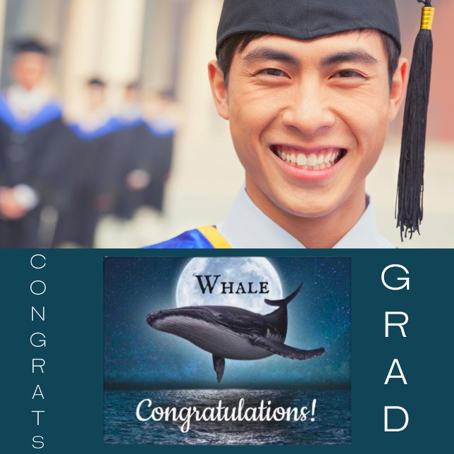 Carte Postale Félicitations pour le diplôme de baleine (Créateur téléchargé)