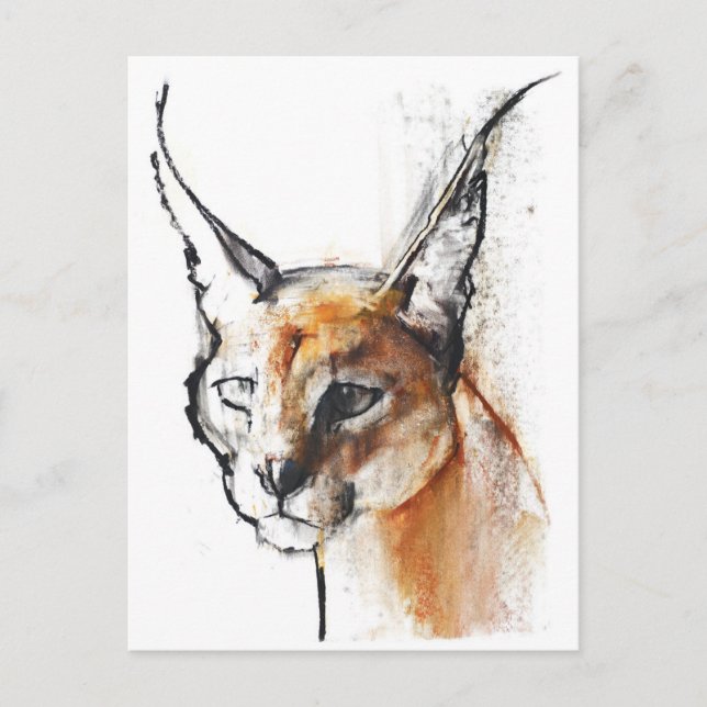 Carte Postale Feline (Devant)