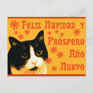 Carte Postale Felix Navidad