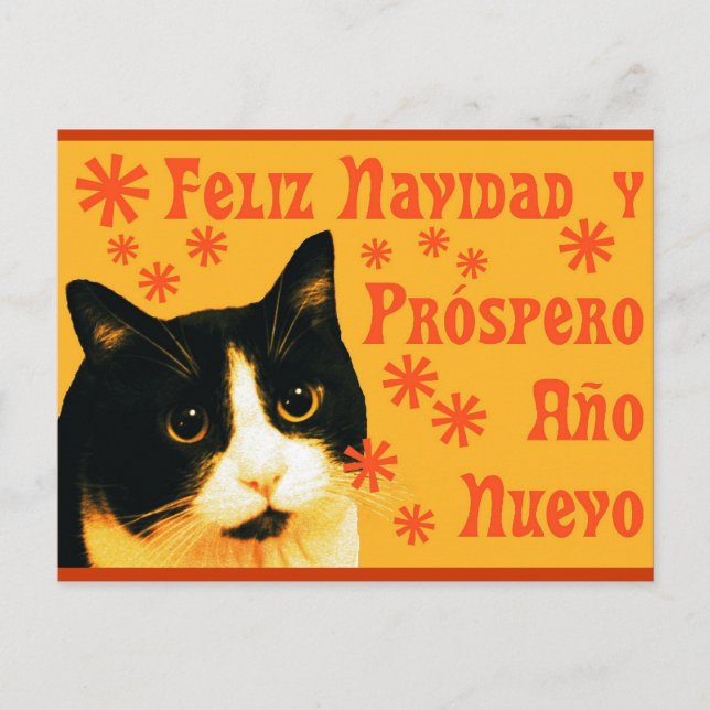 Carte Postale Felix Navidad (Devant)