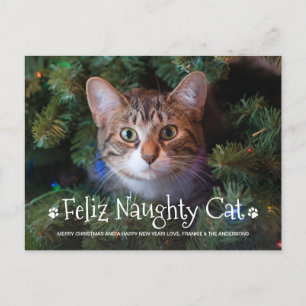 Carte Postale Feliz Naughty Chat Funny Personnalisé Animaux de c