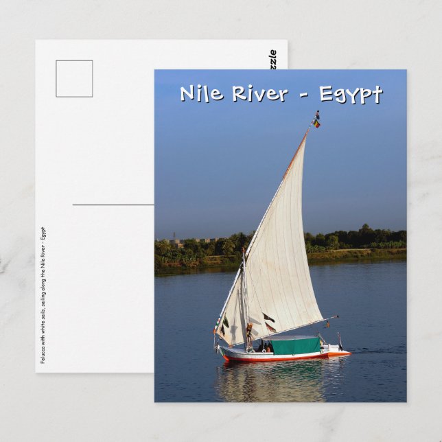 Carte Postale Felucca naviguant le long du Nil - Assouan, Égypte (Devant / Derrière)