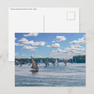 Carte Postale Feluccas le long du Nil - Assouan, Egypte