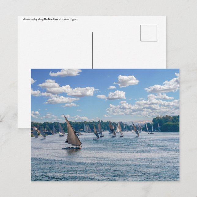 Carte Postale Feluccas le long du Nil - Assouan, Egypte (Devant / Derrière)