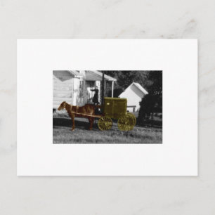 Carte Postale femme amish