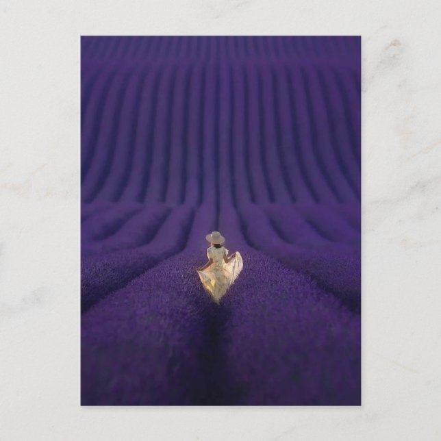 Carte Postale Femme dans un champ de lavande (Devant)