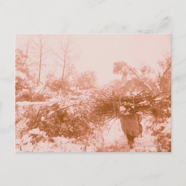 Carte Postale Femme Wood Gatherer (Devant)