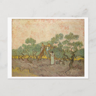 Carte Postale Femmes cueillant des olives (F655) Van Gogh Art