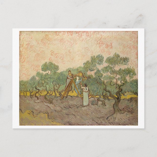 Carte Postale Femmes cueillant des olives (F655) Van Gogh Art (Devant)