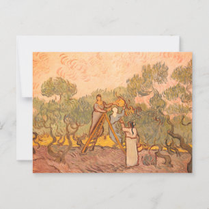 Carte Postale Femmes cueillant des olives par van Gogh :