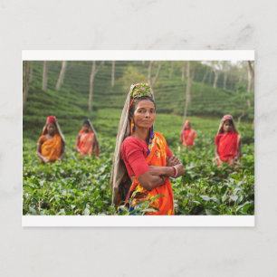 Carte Postale Femmes indiennes