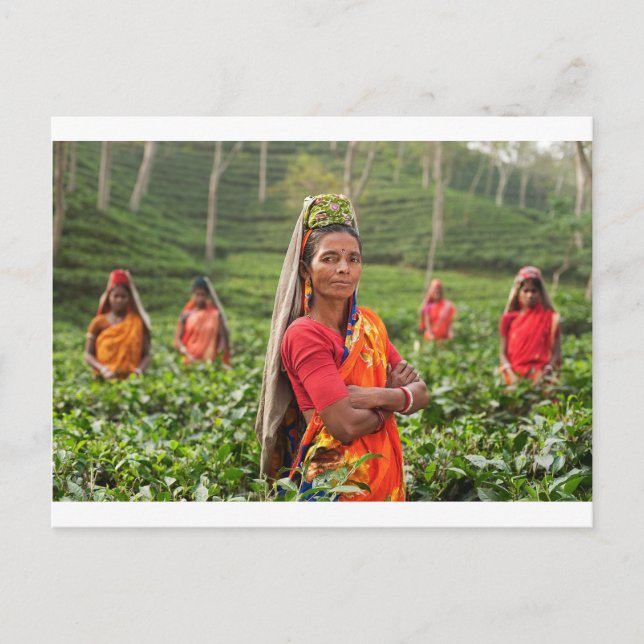 Carte Postale Femmes indiennes (Devant)