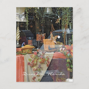Carte Postale Fenêtre Boutique cadeaux - Dunedin