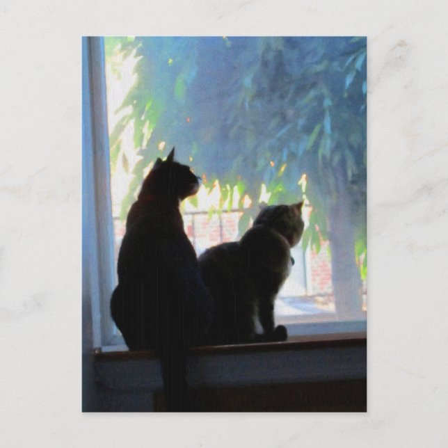 Carte Postale Fenêtre regardant Kitties (Devant)