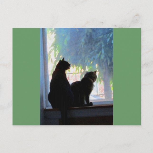 Carte Postale Fenêtre regardant Kitties (Devant)