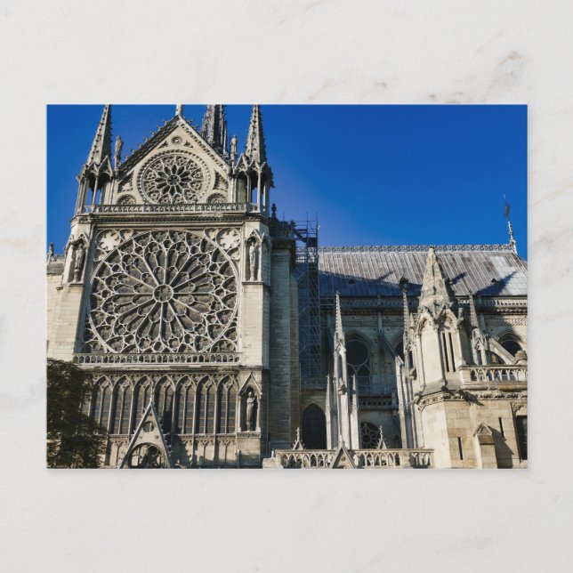 Carte Postale Fenêtre Rose Sud À L'Extérieur De Notre Dame De Pa (Devant)