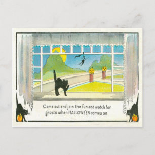 Carte Postale Fenêtre Sortie Chat Noir Jack-o'-lantern Citrouill
