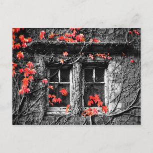 Carte Postale Fenêtres encadrées de feuilles d'automne