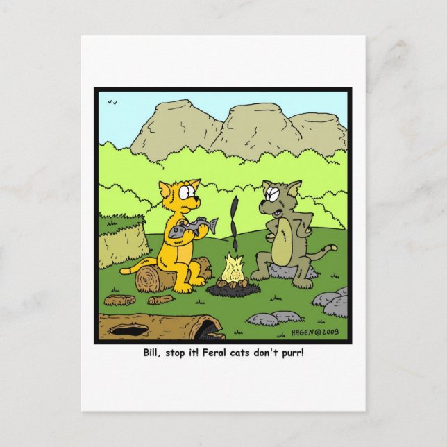 Carte Postale Feral Cats ne purr pas ! (Devant)