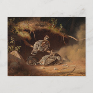 Carte Postale Ferdinand von Wright - Déchets de bruyère