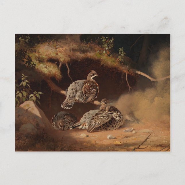 Carte Postale Ferdinand von Wright - Déchets de bruyère (Devant)