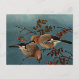 Carte Postale Ferdinand von Wright - Geais