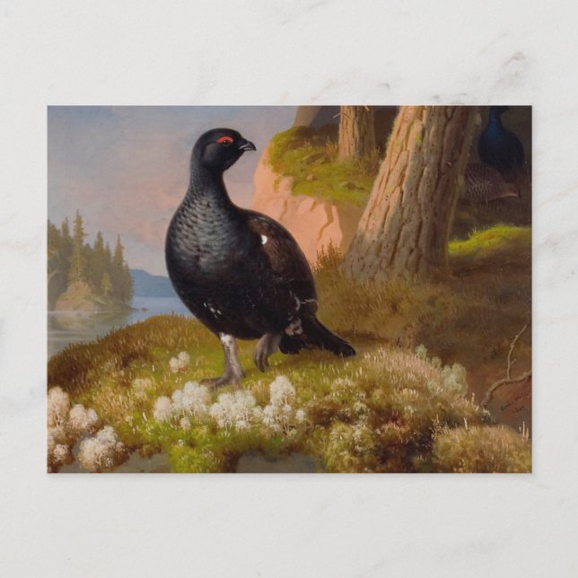 Carte Postale Ferdinand von Wright Tubes noirs CC0065 (Devant)