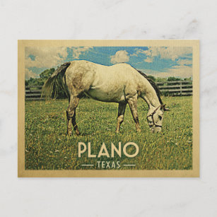 Carte Postale Ferme à cheval Plano Texas - Vintage voyage