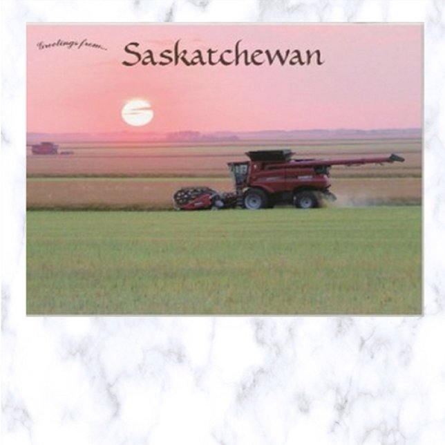 Carte Postale Ferme à Indian Head Saskatchewan Canada (Créateur téléchargé)