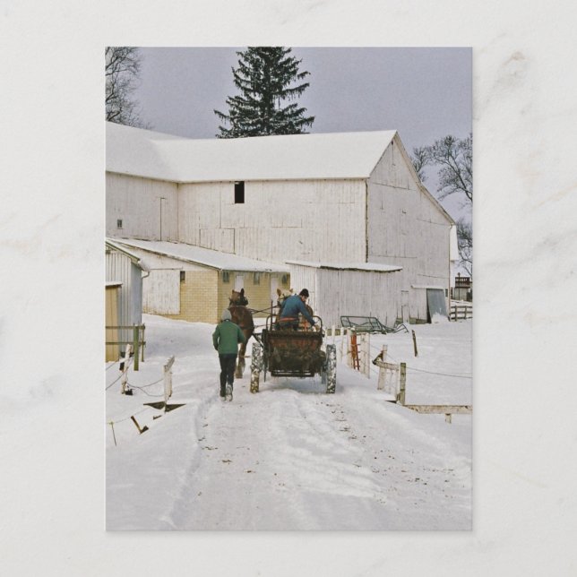 Carte Postale Ferme Amish en Hiver-Carte Postale (Devant)