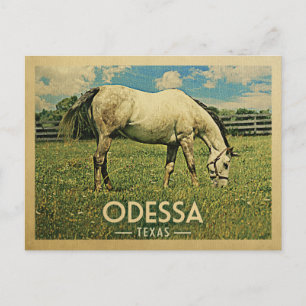Carte Postale Ferme Cheval d'Odessa Texas - Vintage voyage
