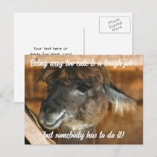 Carte Postale Ferme d'animaux lama mignon humoristique 