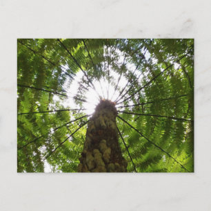 Carte Postale Ferme d'arbre
