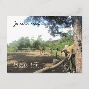 Carte Postale Ferme de cheval dans les bois