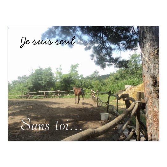 Carte Postale Ferme de cheval dans les bois