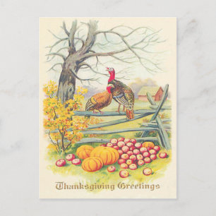Carte Postale Ferme de Dindes Citrouille Pommes Arbre Feuilles d