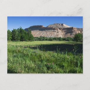 Carte Postale Ferme de Palisade
