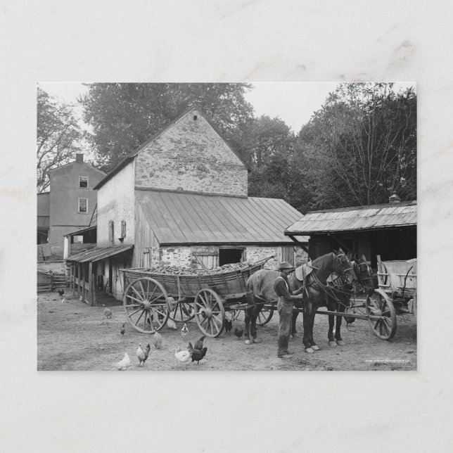 Carte Postale Ferme de Pennsylvanie, 1906 (Devant)