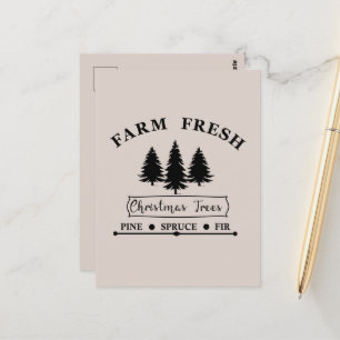 Carte Postale Ferme des arbres de Noël frais