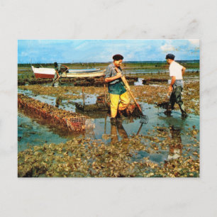Carte Postale Ferme d'huîtres, Charente Maritime