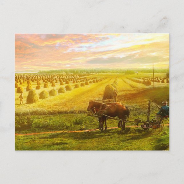 Carte Postale Ferme - Finlande - Domaine d'espoir 1899 (Devant)